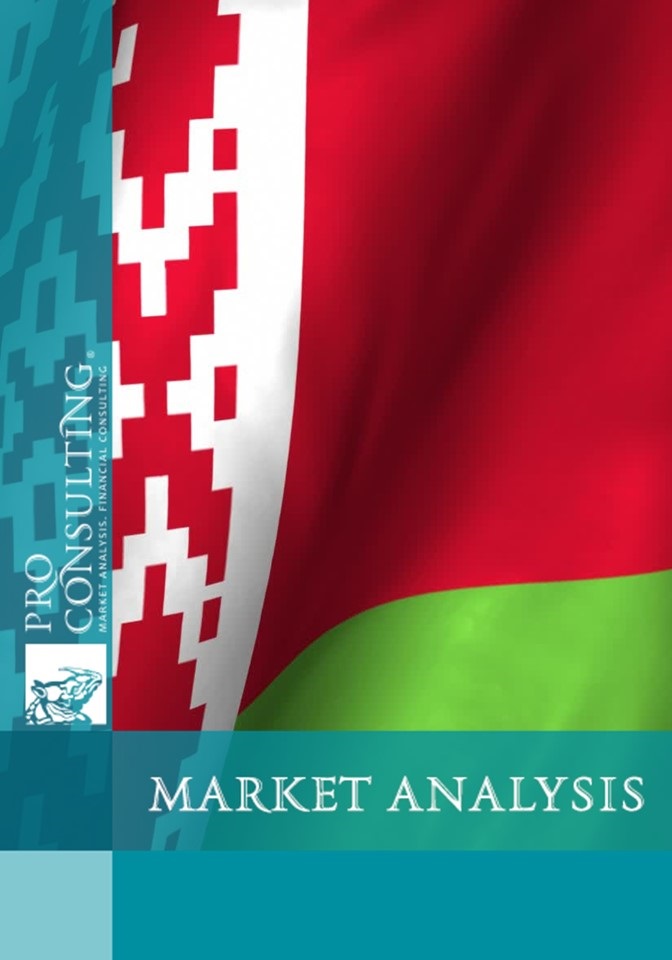 Analysis of export supplies to the Republic of Belarus. 2017